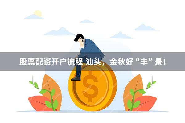 股票配资开户流程 汕头，金秋好“丰”景！